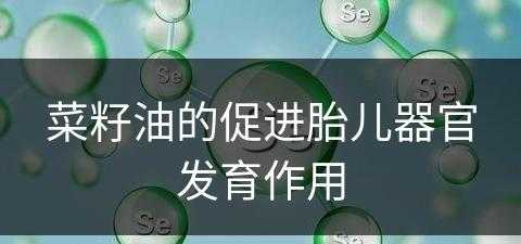 菜籽油的促进胎儿器官发育作用